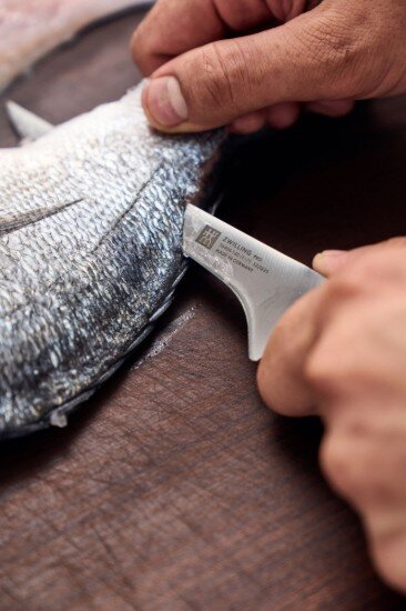 Zwilling Нож за филе 14 см << Pro>> -