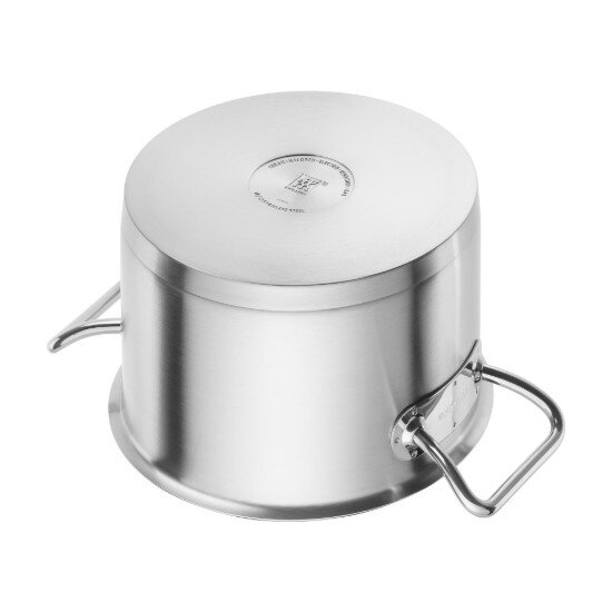 Zwilling Тенджера с капак неръждаема стомана 20 см/35 л "Pro S" -