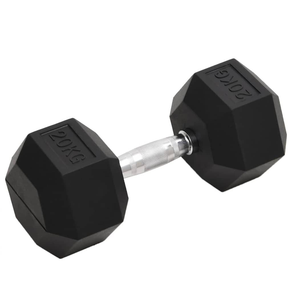 vidaXL Дъмбел 20 кг чугун