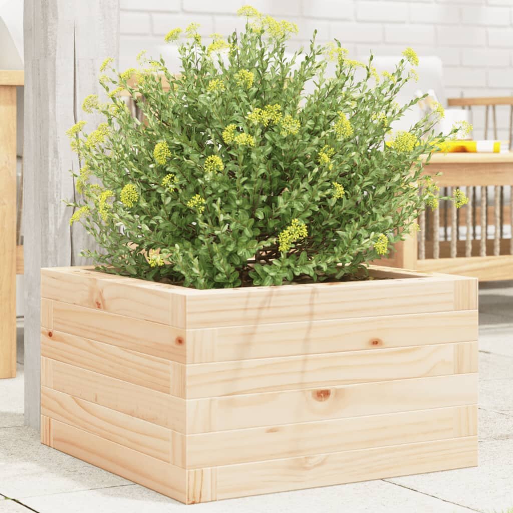 vidaXL Градинска кашпа 40x40x23 см масивна борова дървесина