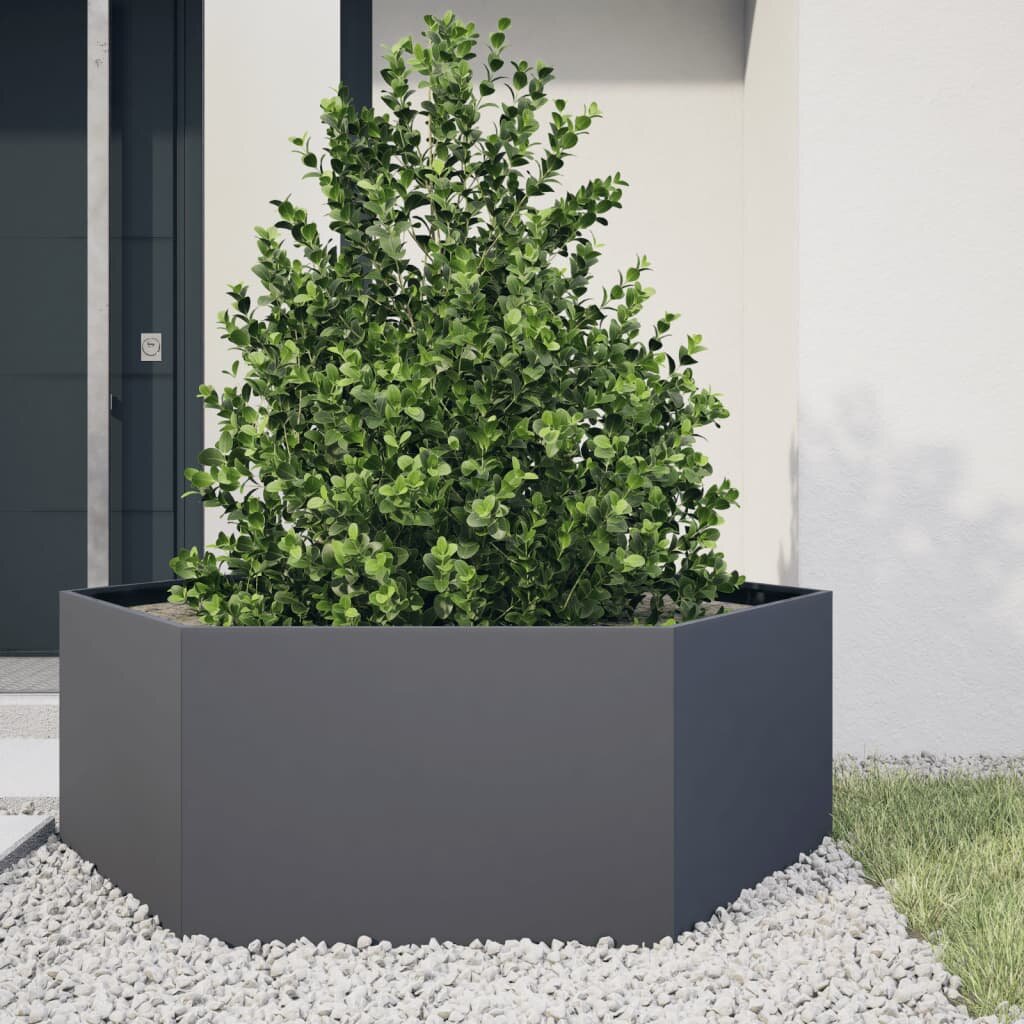 vidaXL Градинска кашпа антрацит шестоъгълна 138x120x45 см стомана
