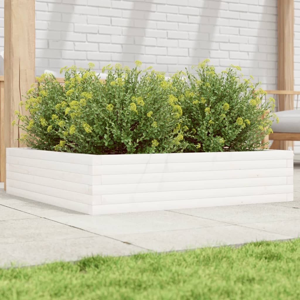 vidaXL Градинска кашпа бяла 100x100x23 см борово дърво масив