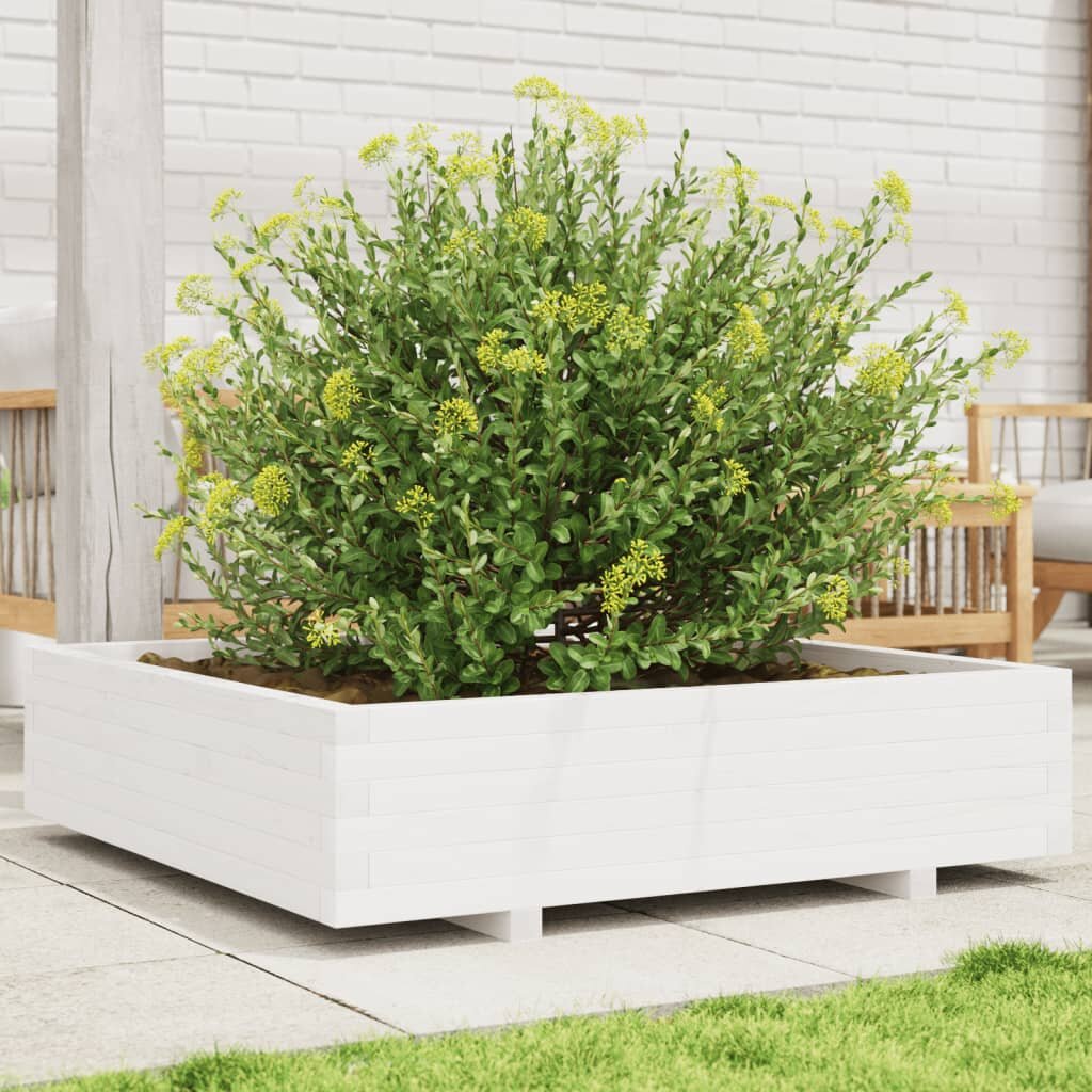 vidaXL Градинска кашпа бяла 100x100x265 см масивно борово дърво