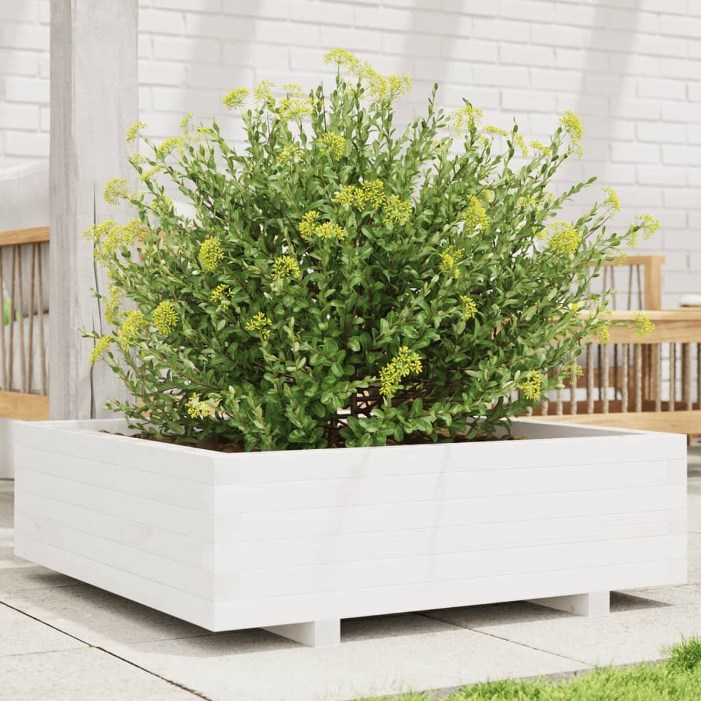 vidaXL Градинска кашпа бяла 80x80x265 см масивна борова дървесина
