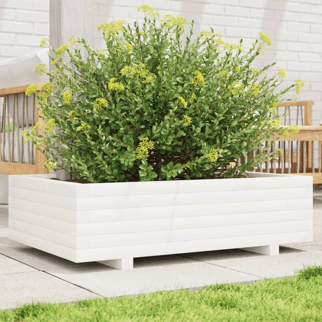 vidaXL Градинска кашпа бяла 90x60x265 см масивна борова дървесина