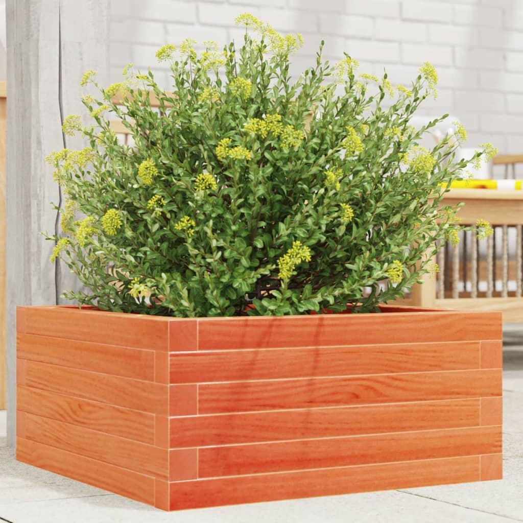vidaXL Градинска кашпа восъчнокафява 50x50x23 см борово дърво масив