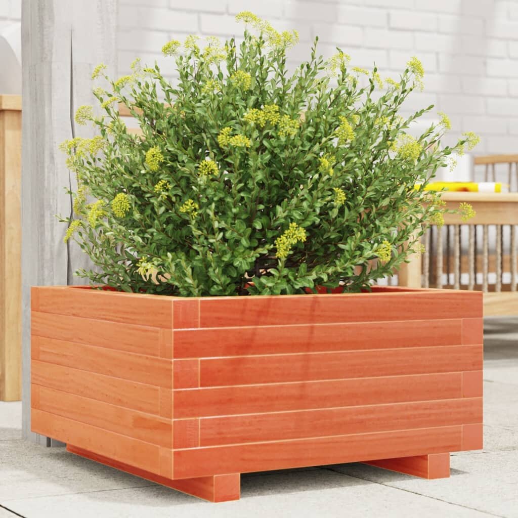 vidaXL Градинска кашпа восъчнокафява 50x50x265см борово дърво масив