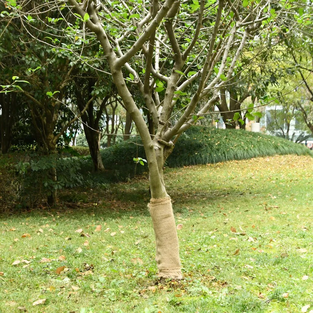 vidaXL Градинска мрежа от джут 50 cm x 50 m 180 gsm 100% Natural Jute