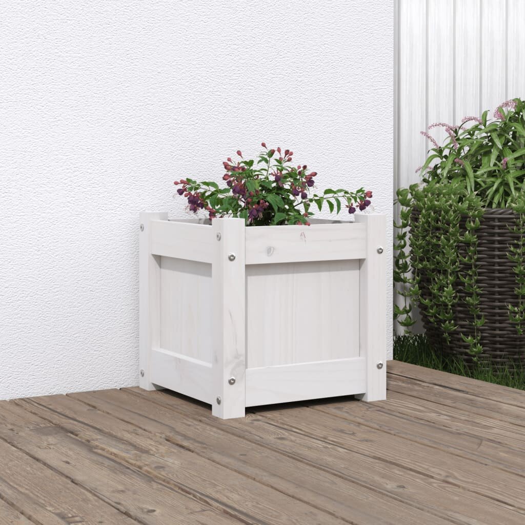 vidaXL Градинска сандък бял 31x31x31 см борово дърво масив