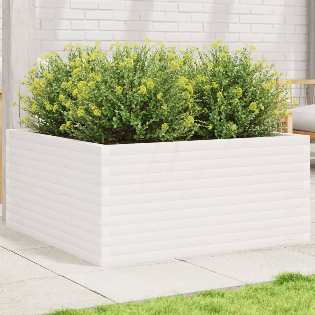 vidaXL Градински сандък бял 100x100x46 см масивна борова дървесина