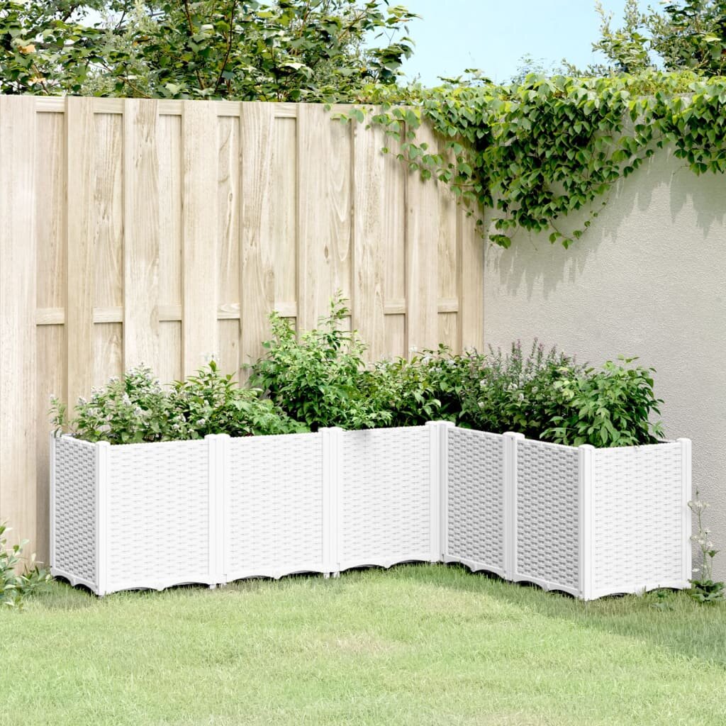 vidaXL Градински сандък бял 160x120x53 см PP