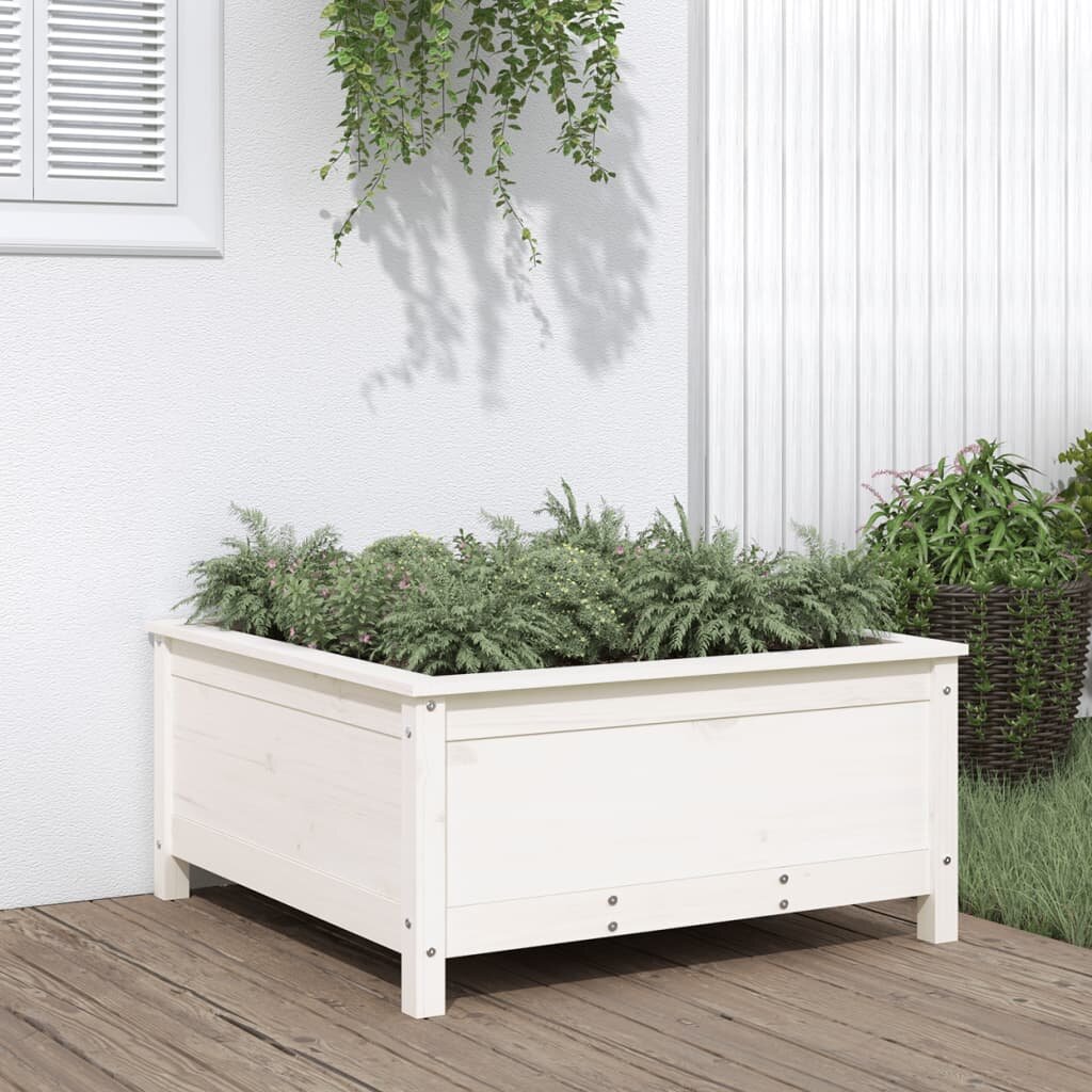 vidaXL Градински сандък бял 825x825x39 см масивно борово дърво