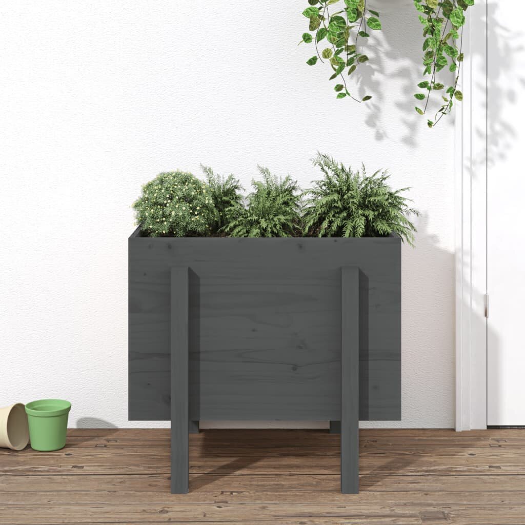 vidaXL Градински сандък сив 62x50x57 см бор масив