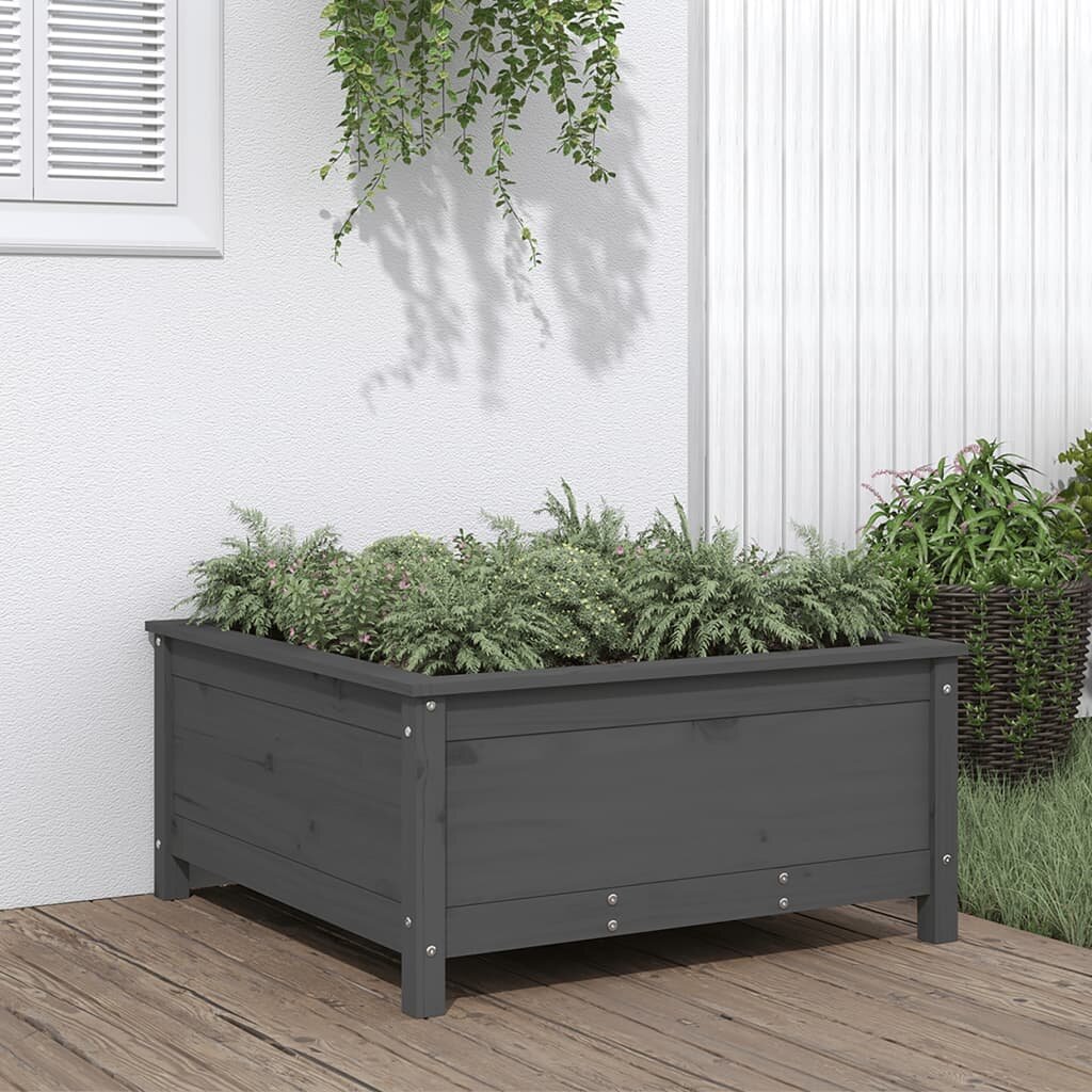 vidaXL Градински сандък сив 825x825x39 см масивно борово дърво