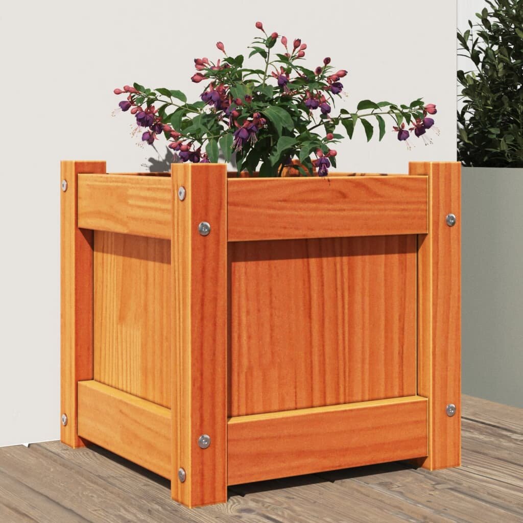 vidaXL Градински сандък восъчнокафяв 31x31x31 см борово дърво масив