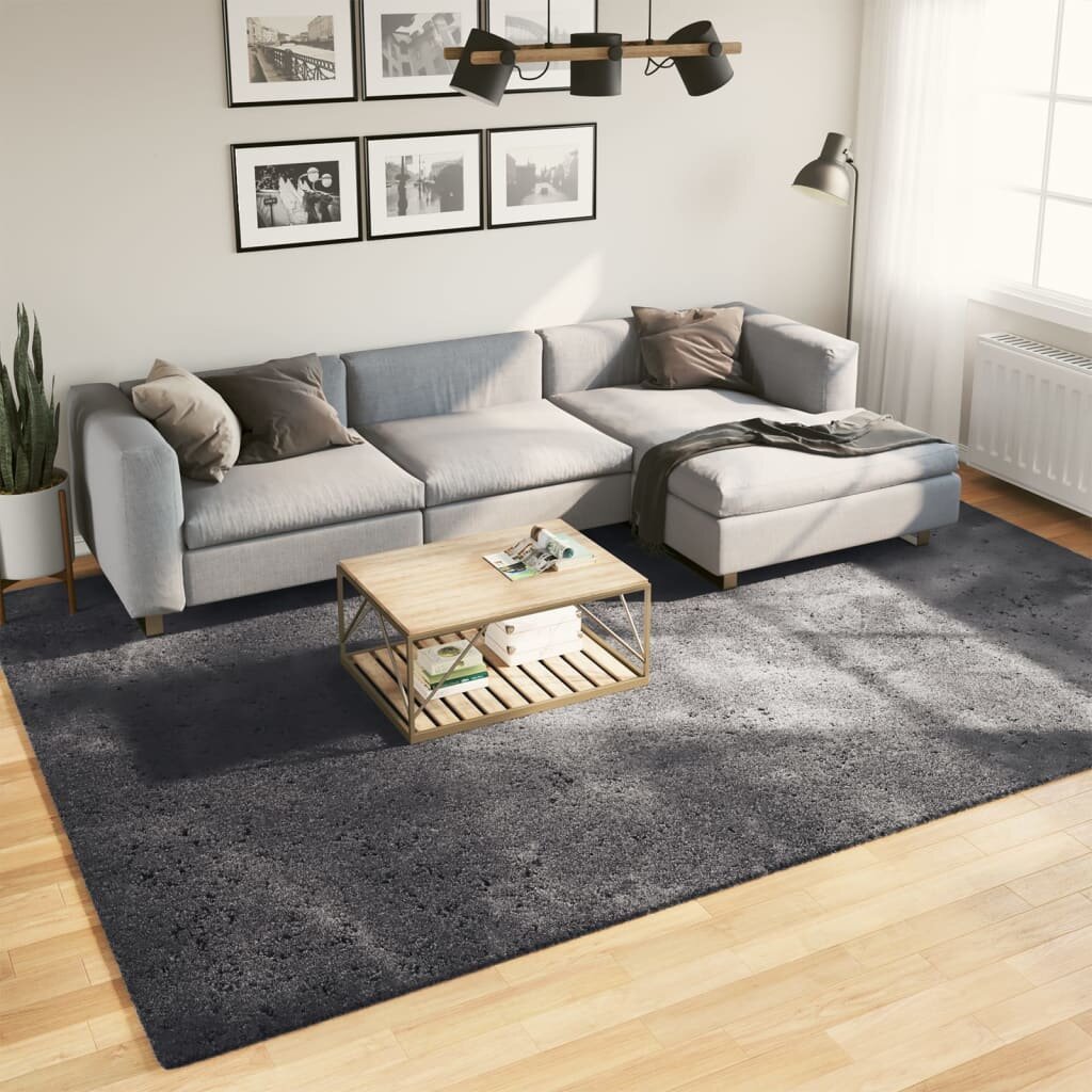 vidaXL Килим HUARTE с къс косъм мек и миещ се антрацит 240x340 см