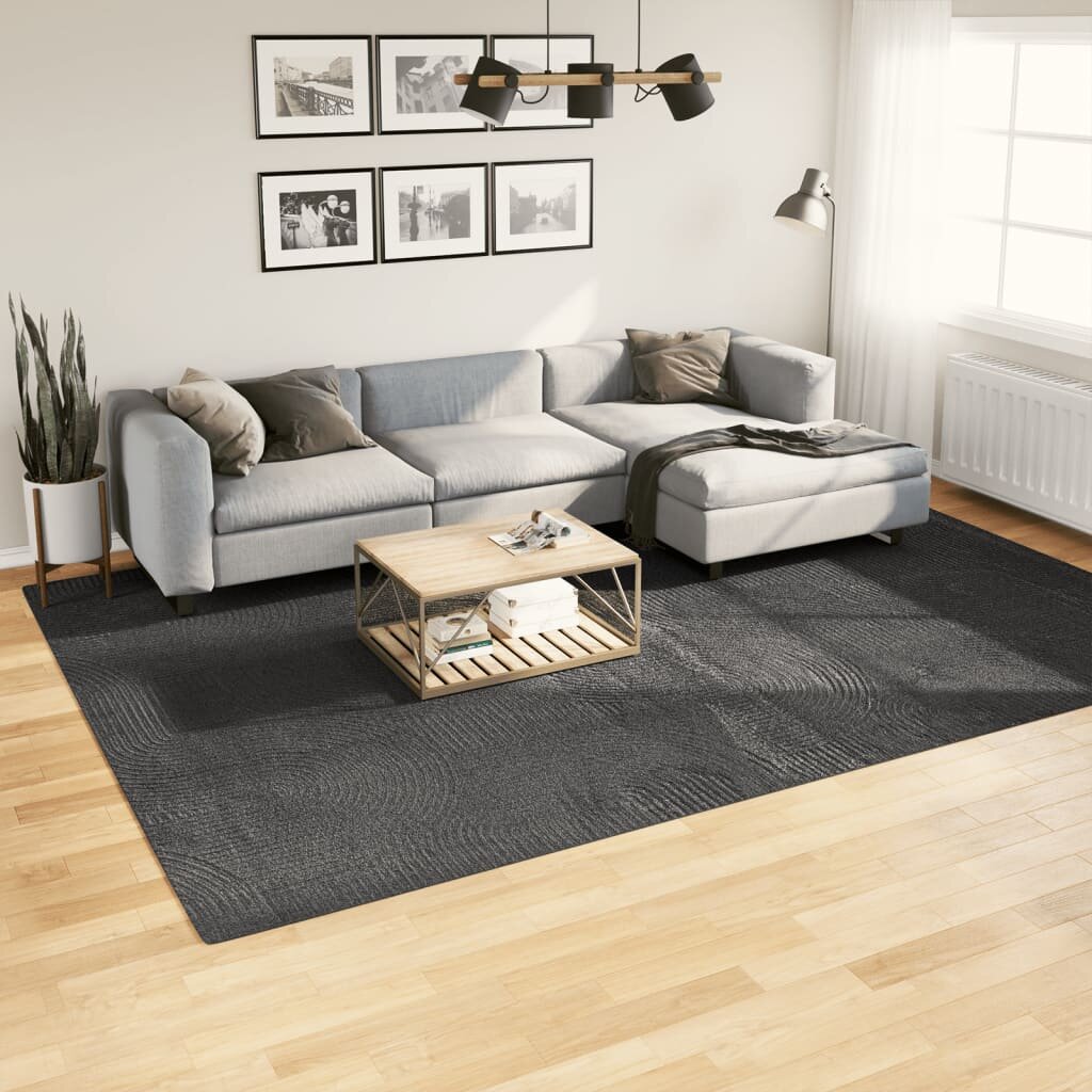 vidaXL Килим IZA с къс косъм скандинавски вид антрацит 240x340 см