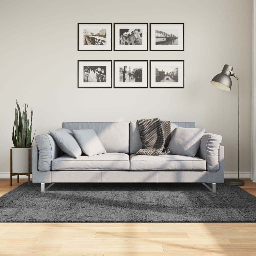 vidaXL Килим OVIEDO с къс косъм антрацит 140x200 см