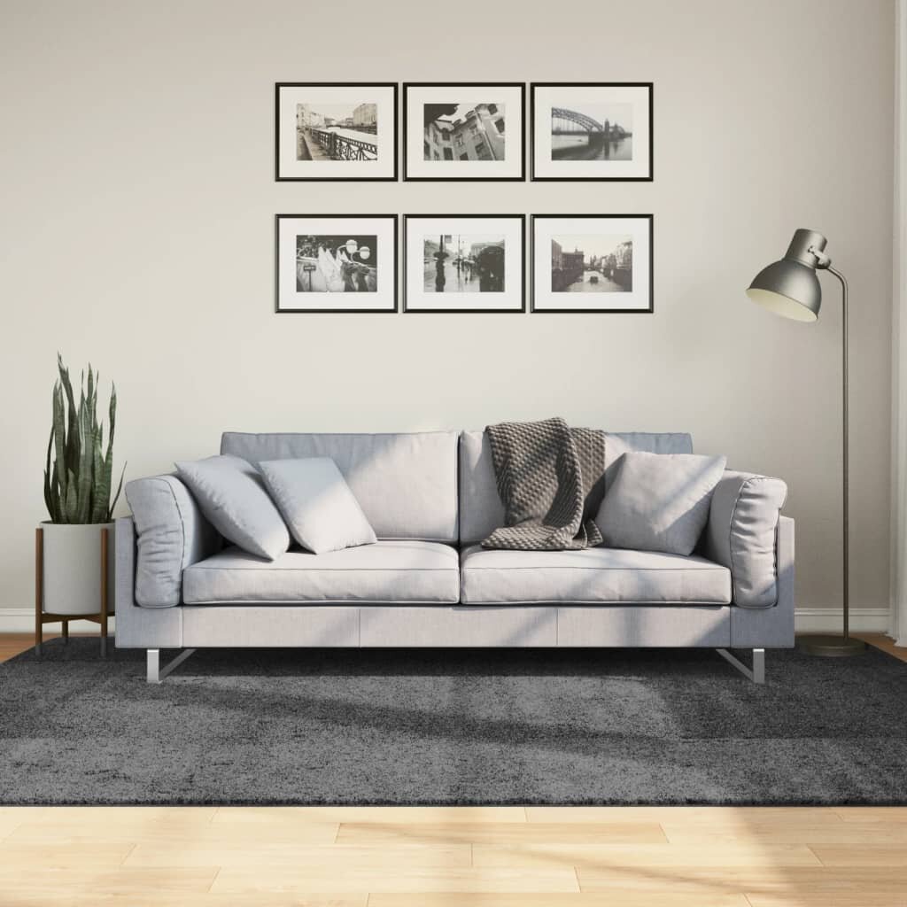 vidaXL Килим OVIEDO с къс косъм антрацит 160x230 см