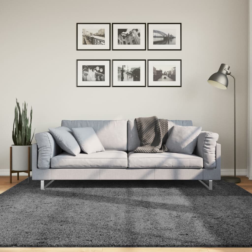 vidaXL Килим OVIEDO с къс косъм антрацит 200x200 см