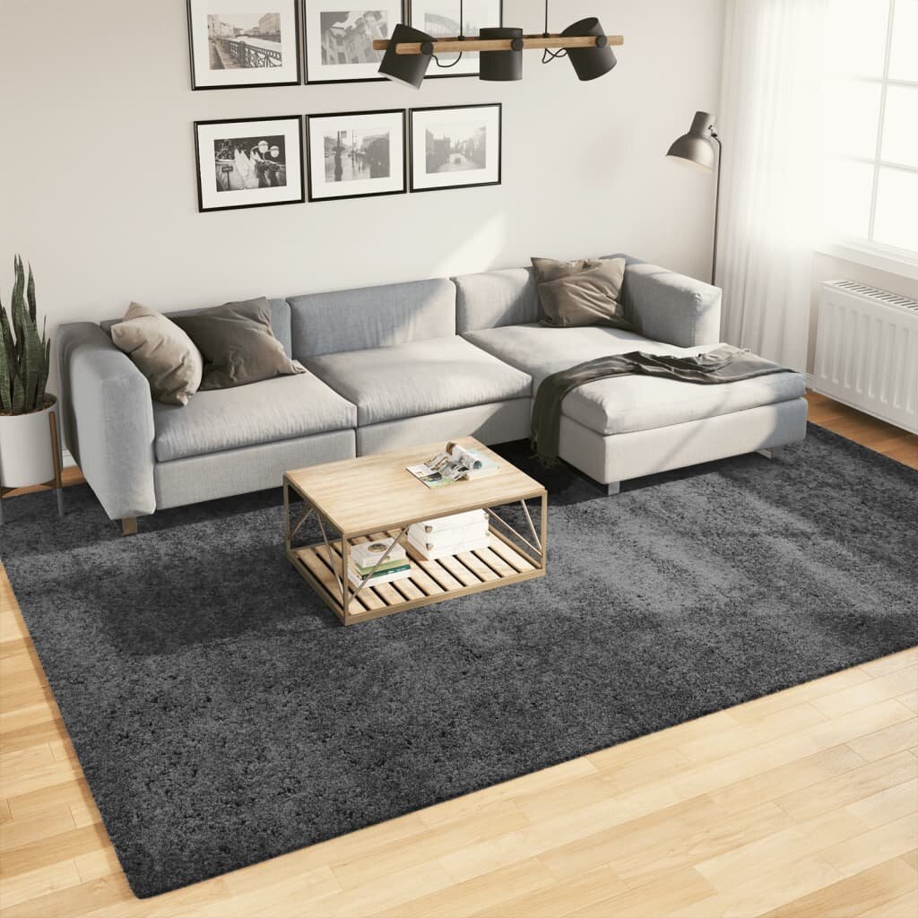 vidaXL Килим OVIEDO с къс косъм антрацит 240x340 см