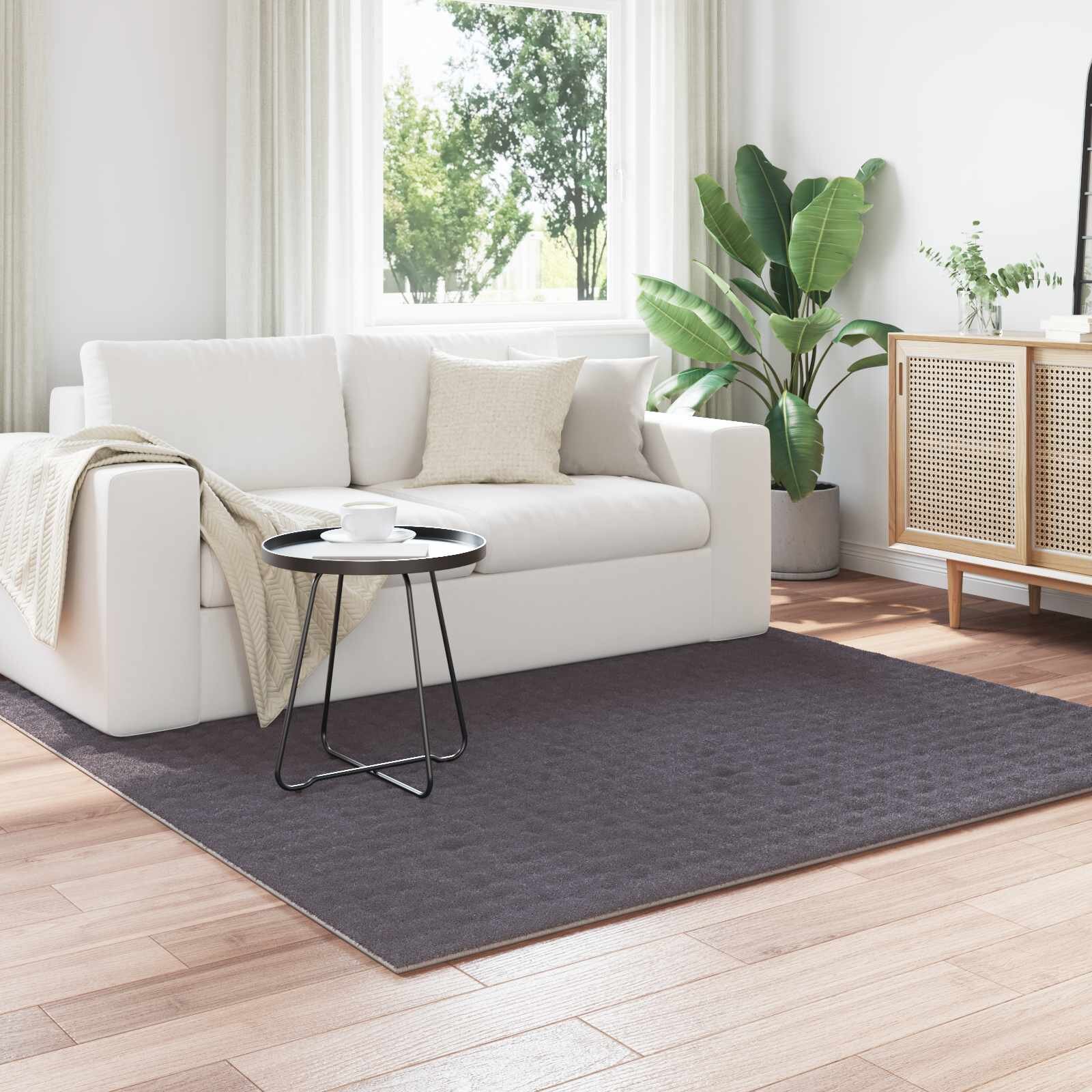vidaXL Килими за помещение SIROLO Антрацит 120 x 120 cm Полиестер