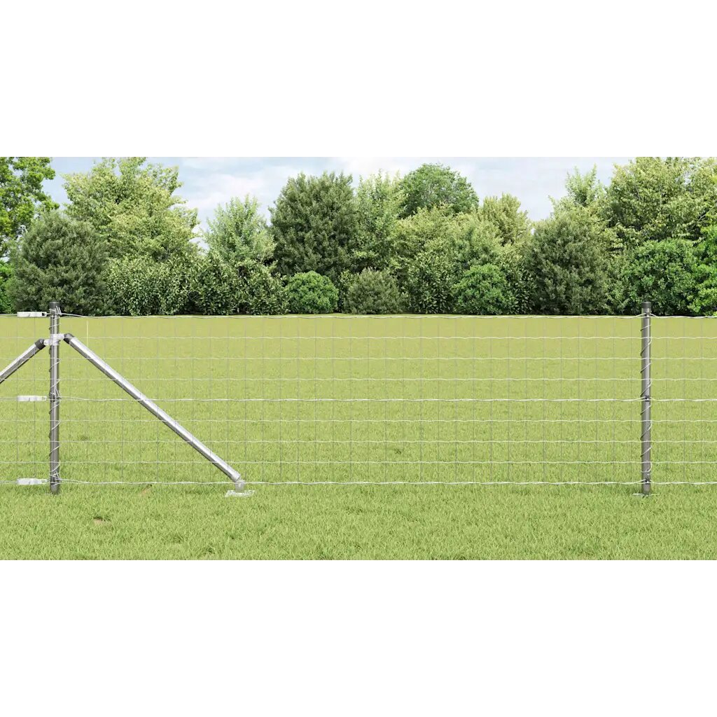 vidaXL Открит Еврейски Оград с Шипове 10 x 08 м Поцинкована стомана
