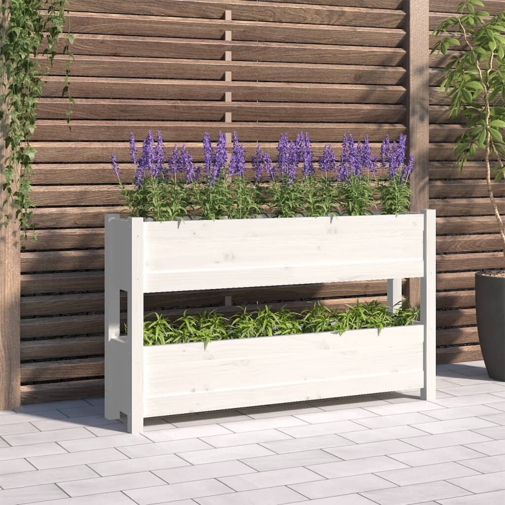 vidaXL Плантер бяла 112x25x66 см борово дърво масив
