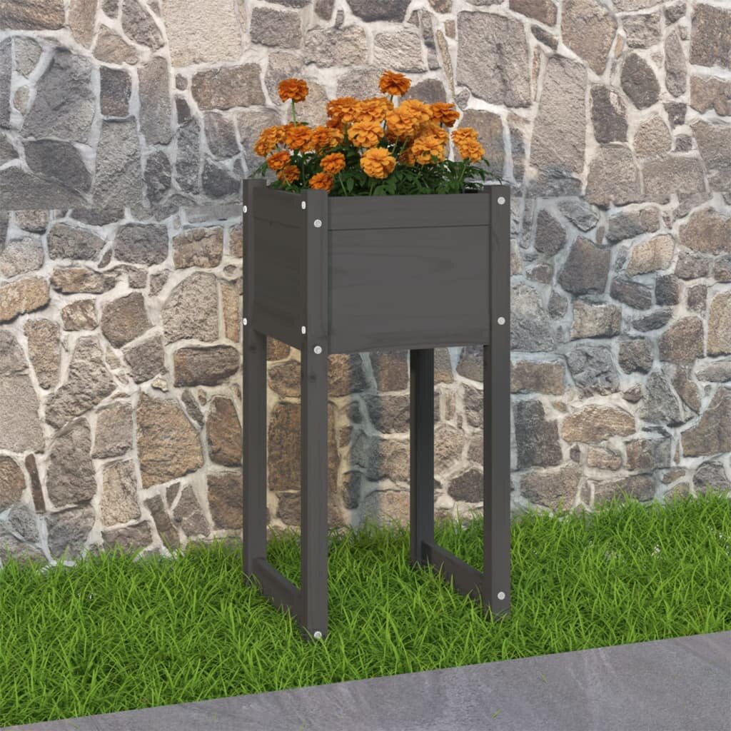 vidaXL Плантер сив 40x40x81 см борово дърво масив