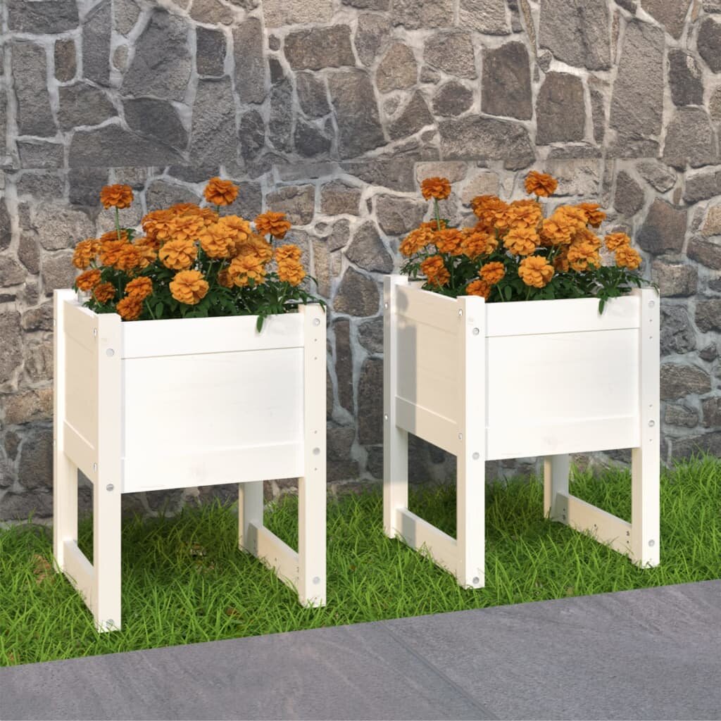 vidaXL Плантери 2 бр бяла 40x40x525 см борово дърво масив
