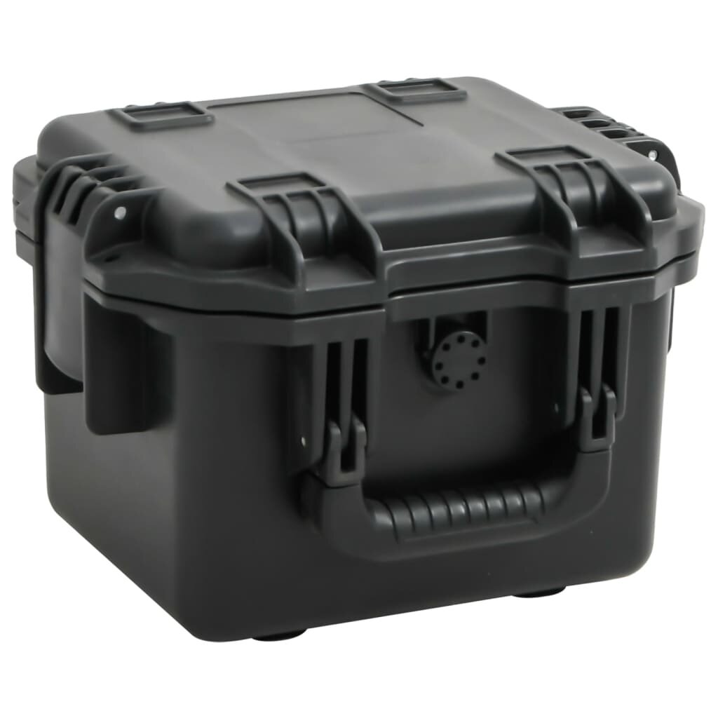 vidaXL Преносим калъф за полет черен 30x245x20 см PP