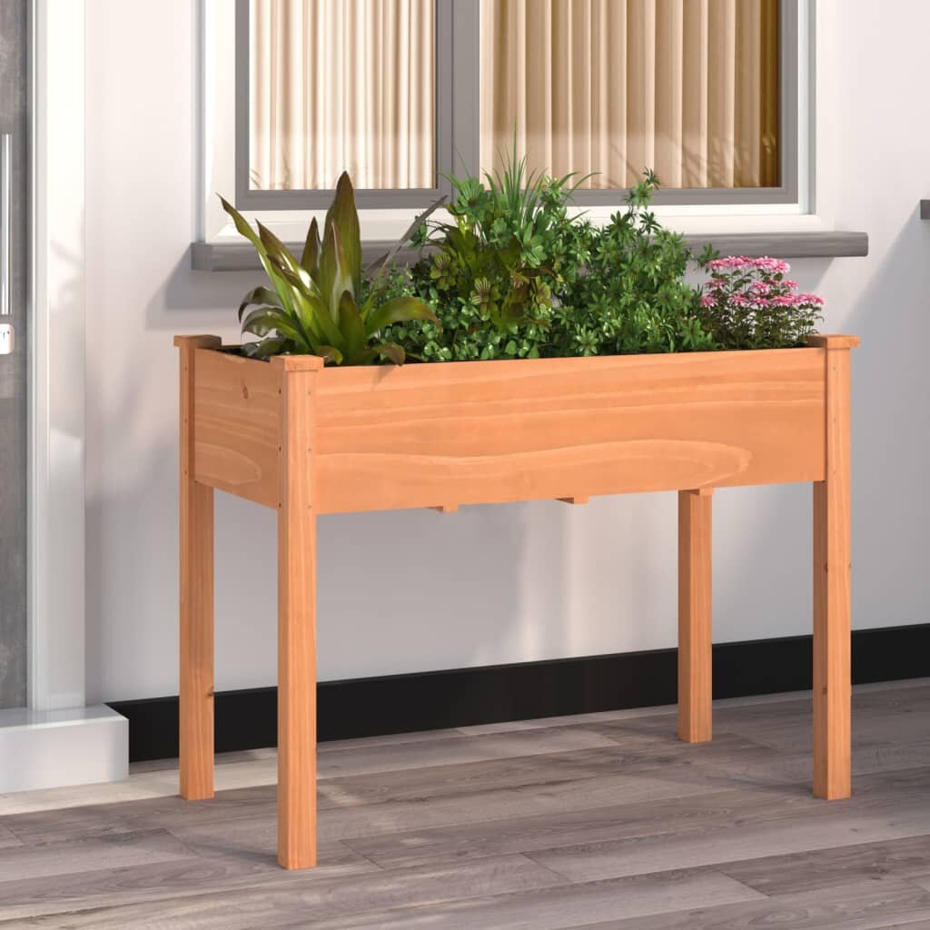 vidaXL Саксия с вложка кафява 118x59x76 см масивна ела