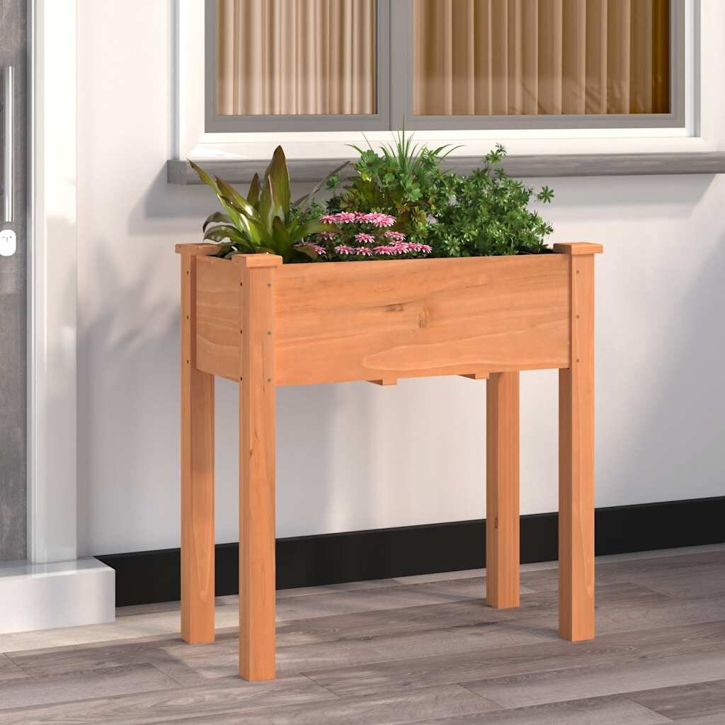 vidaXL Саксия с вложка кафява 71x37x76 см масивна ела