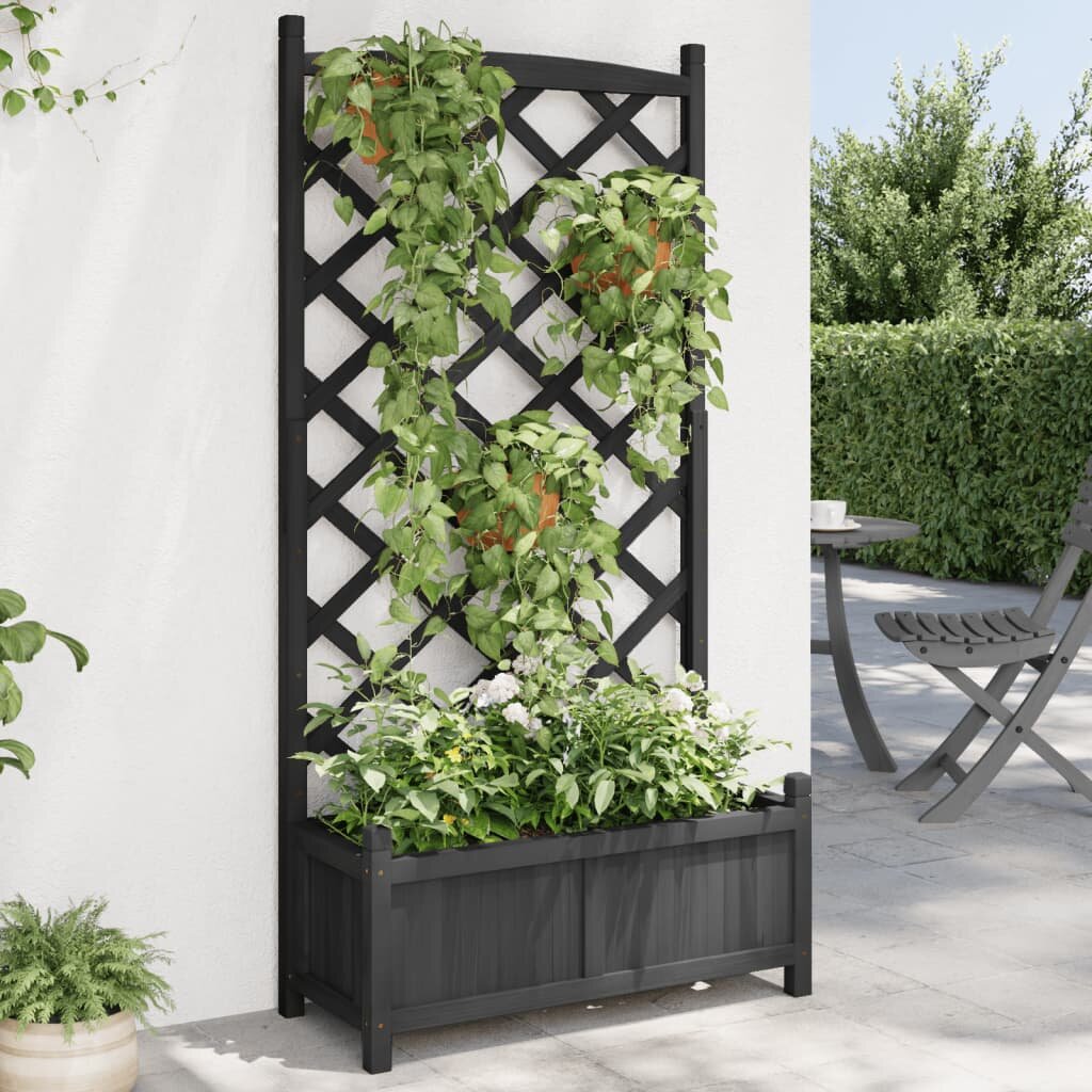 vidaXL Саксия за цветя с решетка черна 75 x 35 x 150 см масивна ела