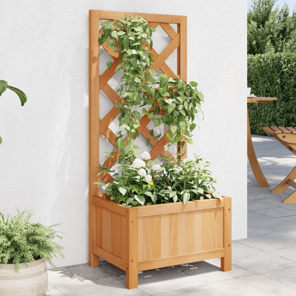 vidaXL Саксия за цветя с решетка кафява 40x30x90 см масивна ела