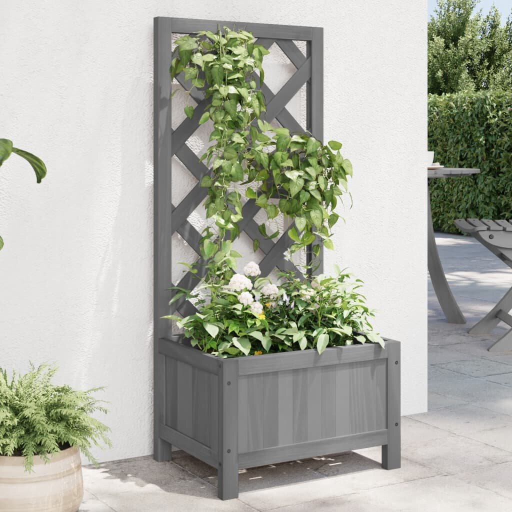 vidaXL Саксия за цветя с решетка сива 40x30x90 см масивна ела