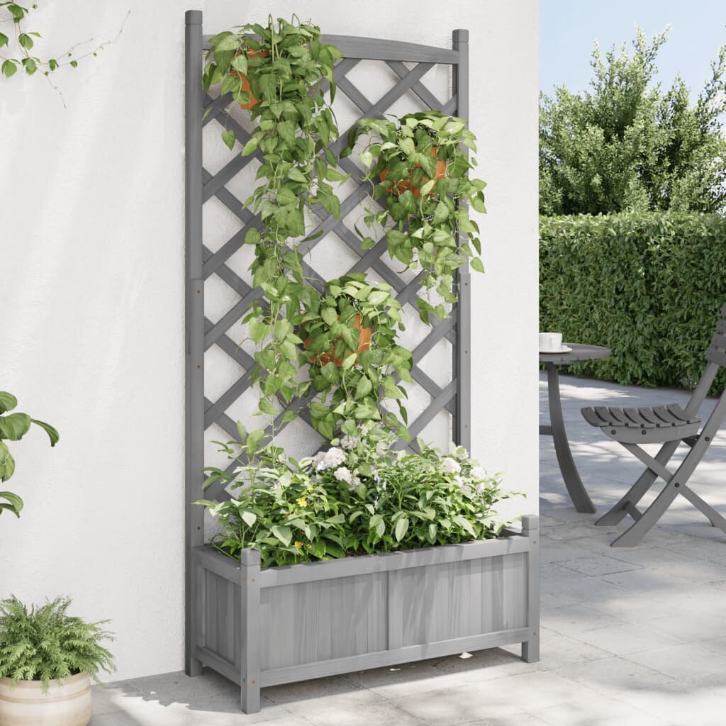 vidaXL Саксия за цветя с решетка сива 75 x 35 x 150 см масивна ела