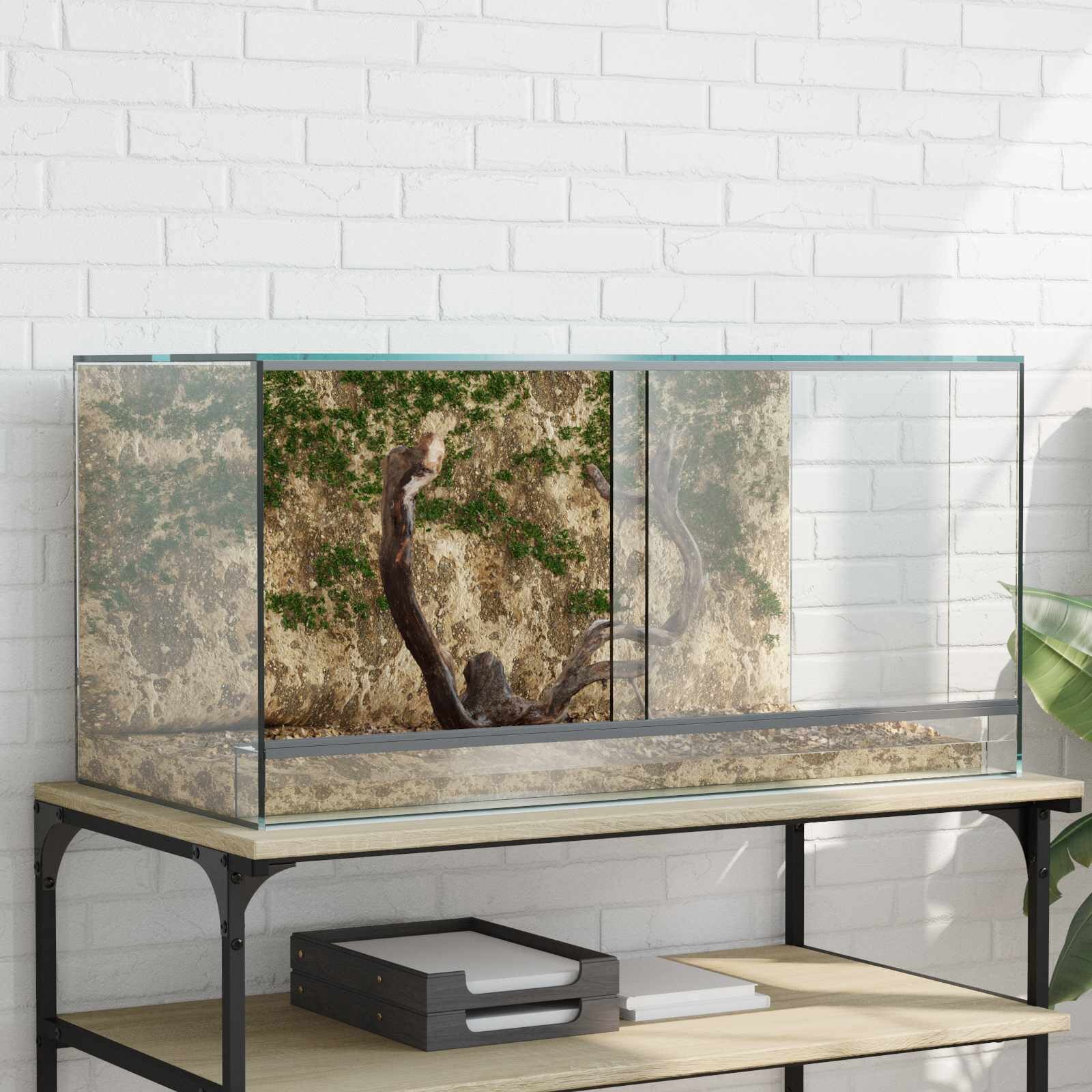 vidaXL Терариум със съхранение Прозрачен 80 x 40 x 40 cm Стъкло